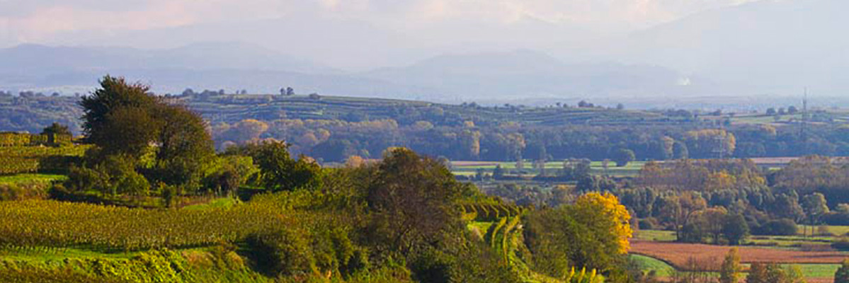Weinlagen-nicht-bereinigt-24oZ5s9yZSsEHZy