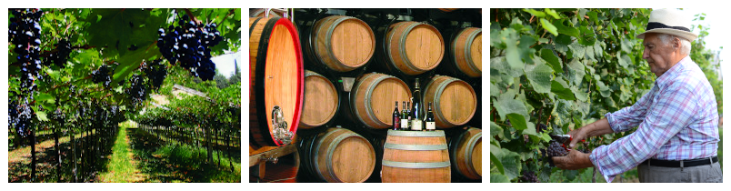 Domus_Vini-_Banner_ohne_Schrift