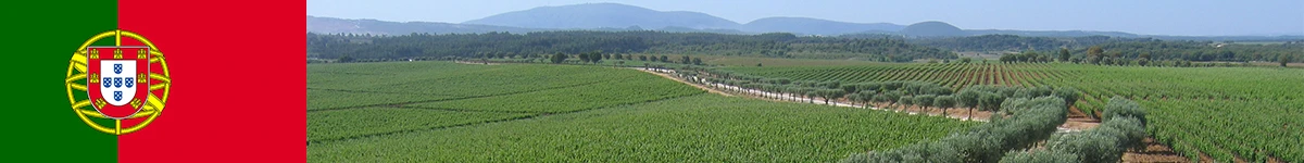 Portugal_004d1c69-714d-4f55-a870-e3479e60d059