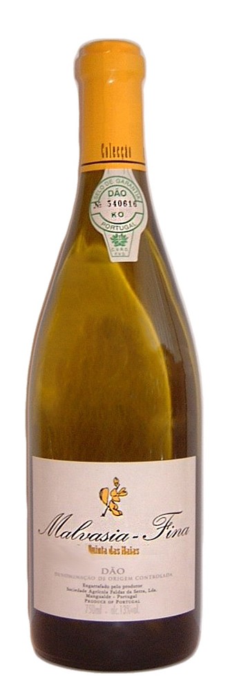 21 MALVASIA FINA Dao DOC QUINTA DAS MAIA