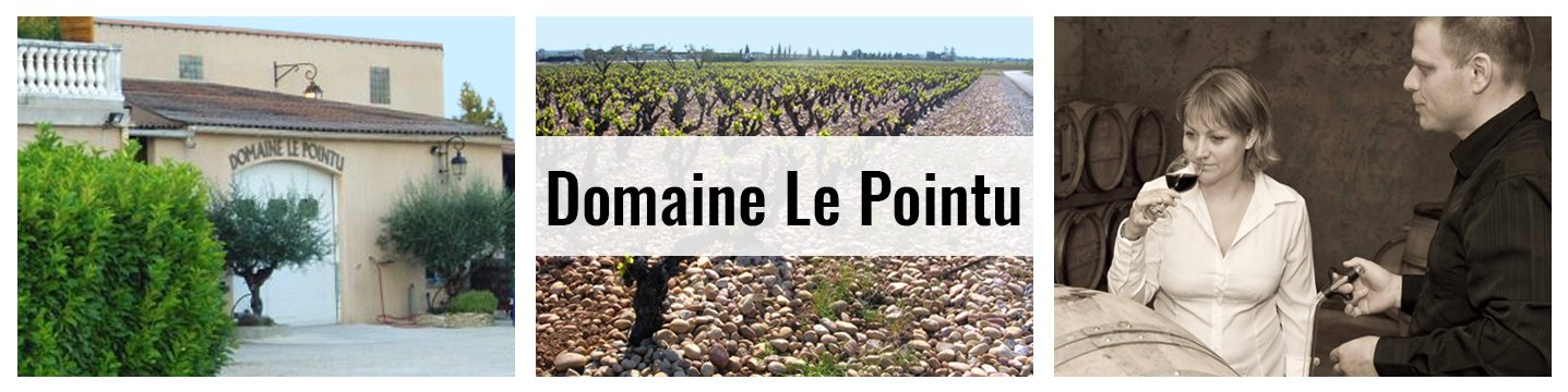 Domaine_Le_Pointu_Banner2