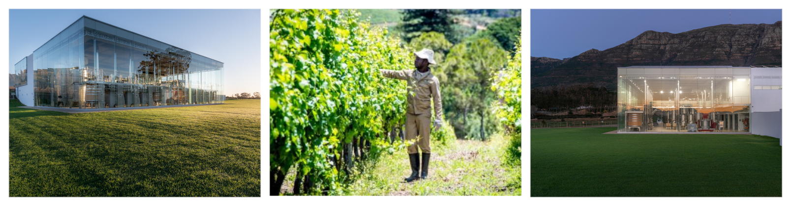 banner_Contsantia_UitsigTwr9YgfxFojat