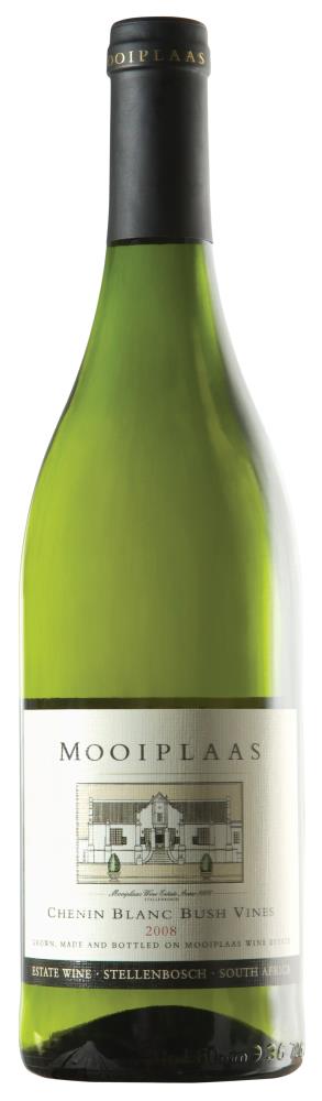 06 Chenin Blanc bush vine WO Mooiplaas Estate