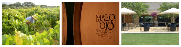 BannerMaloTojo_600x600U17b5Dye8jrOf