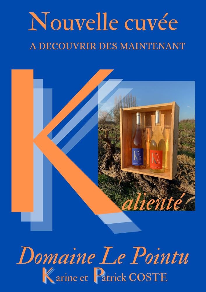 23 KALIENTÉ Viognier, Domaine le Pointu