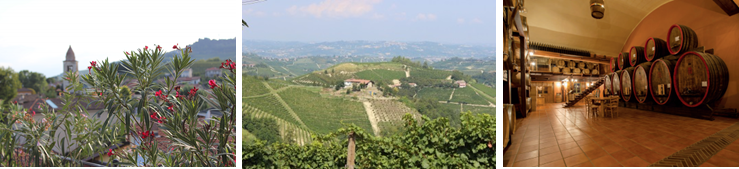 Banner_Colle_Belvedere_nach_Regionen