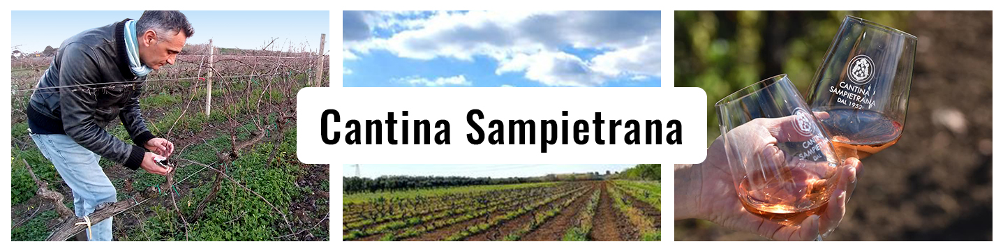 Cantina-Sampietrana-Website-Banner-2EKPB4gho0XF2L