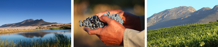 Org_de_Rac_-_Banner2PrlCgEY8j5RD