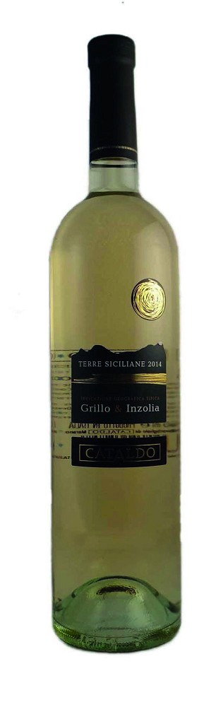 18 CATALDO Grillo IGT