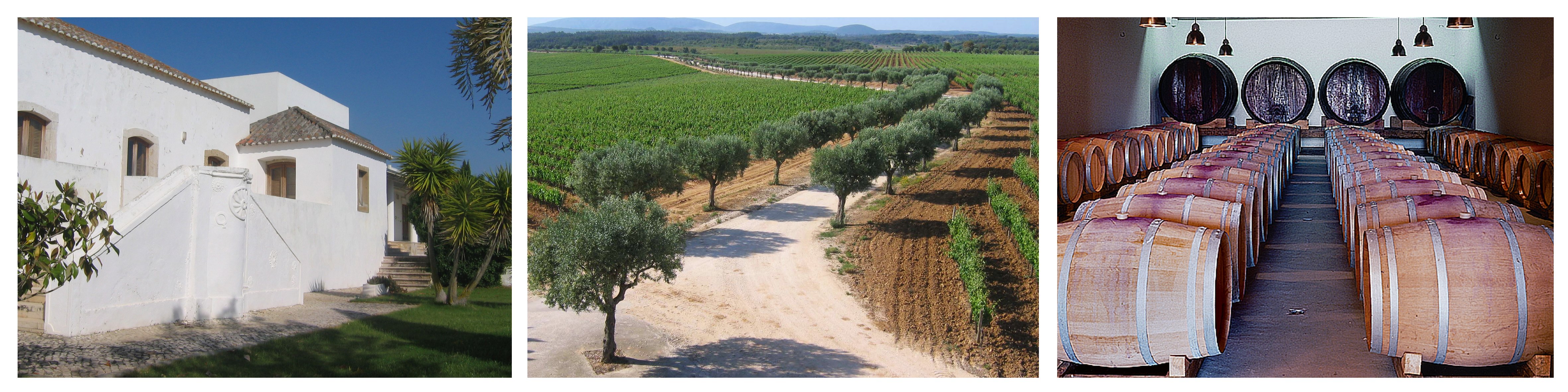 WK_quinta_do_carneiro