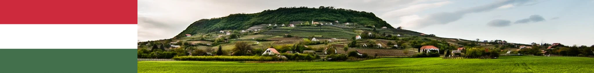 Banner_-_Ungarn_2_2048