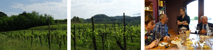 Sutto_Banner_WinzernfFHXCB3KWtux