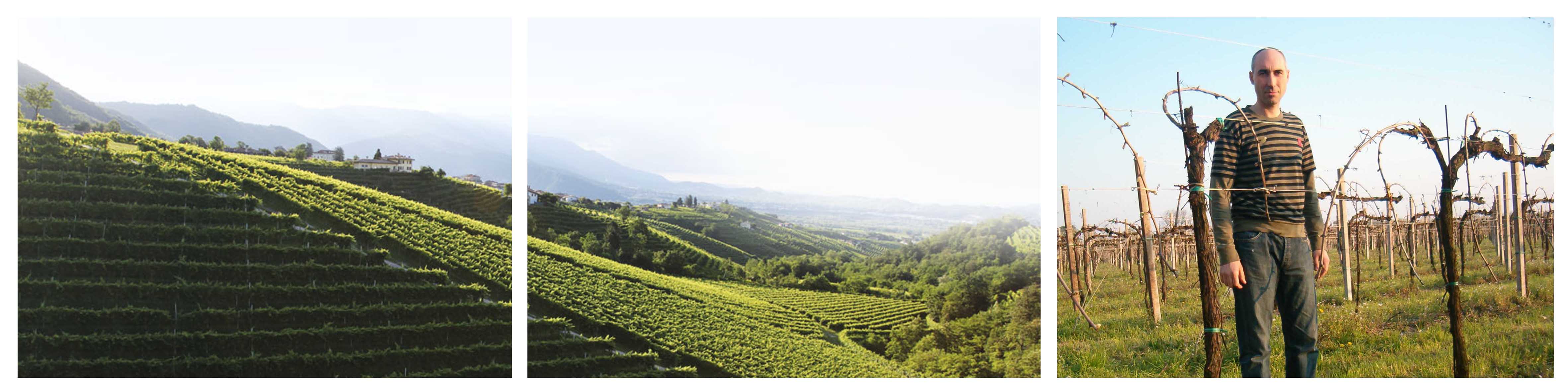 WK_cantina_la_salute