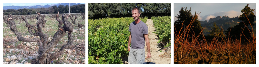 banner_bois_dentelles_0df61670-6f54-46cc-9277-2a32f0102c0a