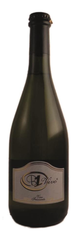 B1 Vivo Frizzante Brut Carta Grigia