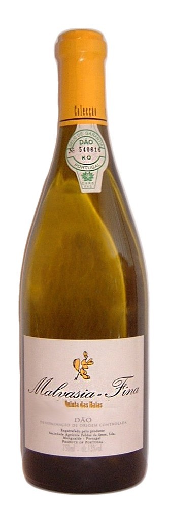 09 MALVASIA FINA Dao DOC QUINTA DAS MAIA