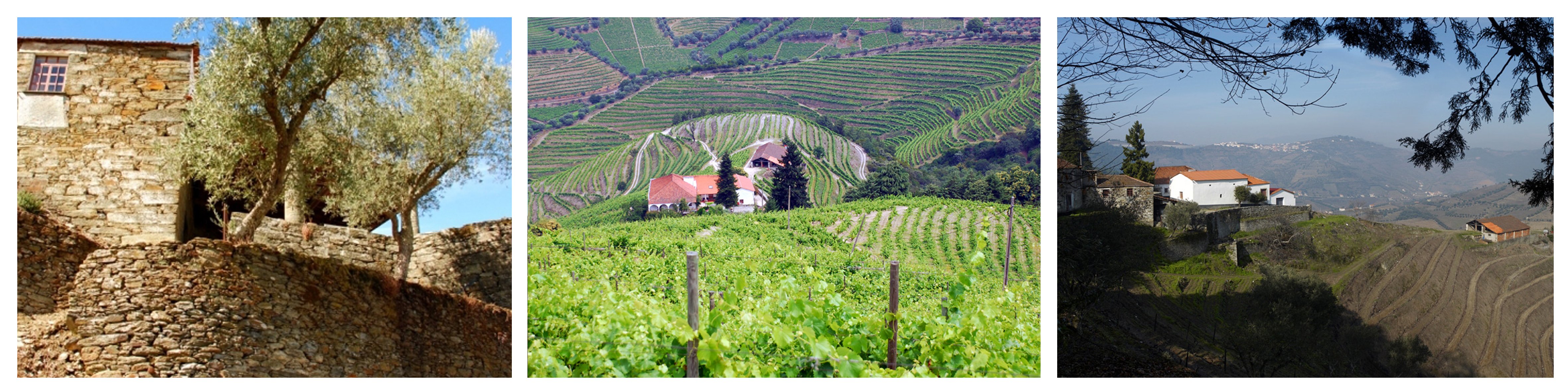 WK_quinta_da_prelada