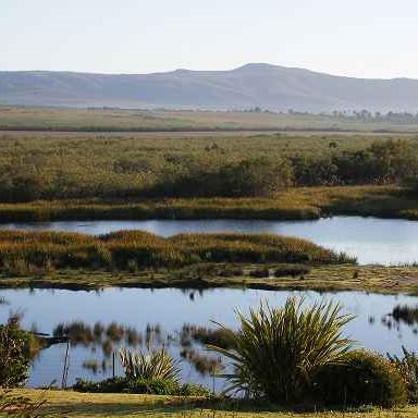 08 Last Chance Sauvignon Blanc Elim ZOETENDAL WINES