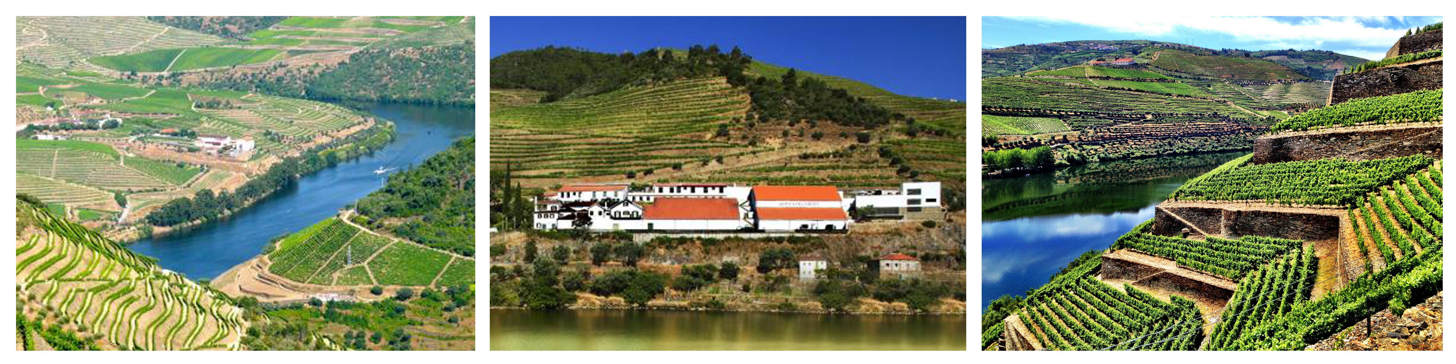 WK_quinta_de_la_rosa