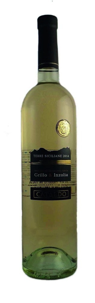 22 CATALDO Grillo IGT