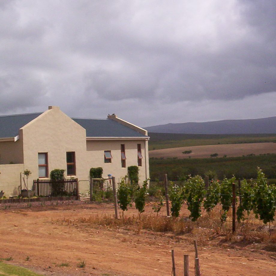 08 Last Chance Sauvignon Blanc Elim ZOETENDAL WINES