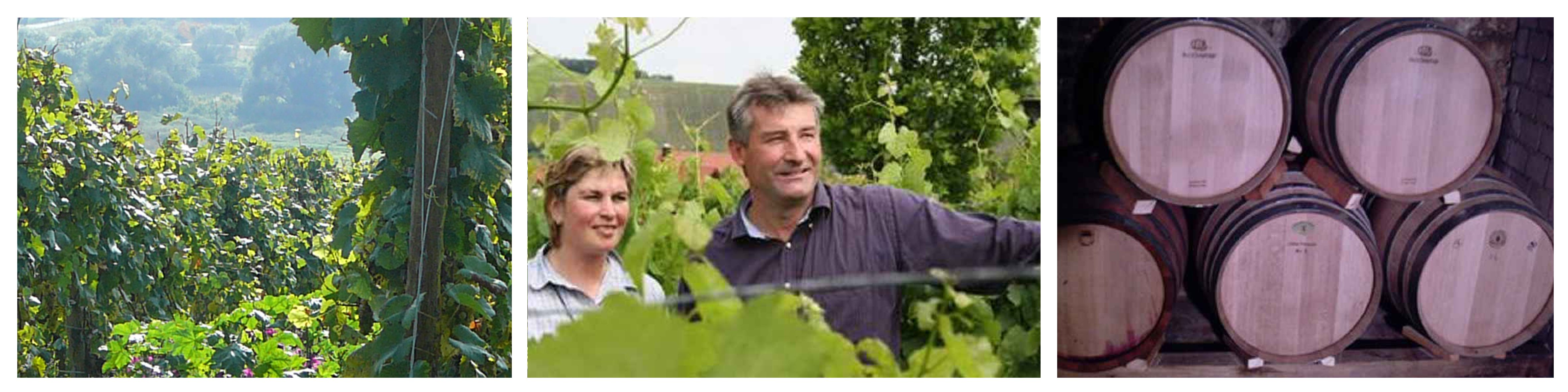 WK_kram26GR8Q0Mr4sm0