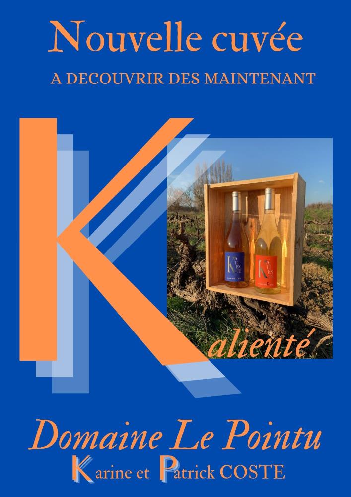 21 KALIENTÉ Rouge, Domaine le Pointu