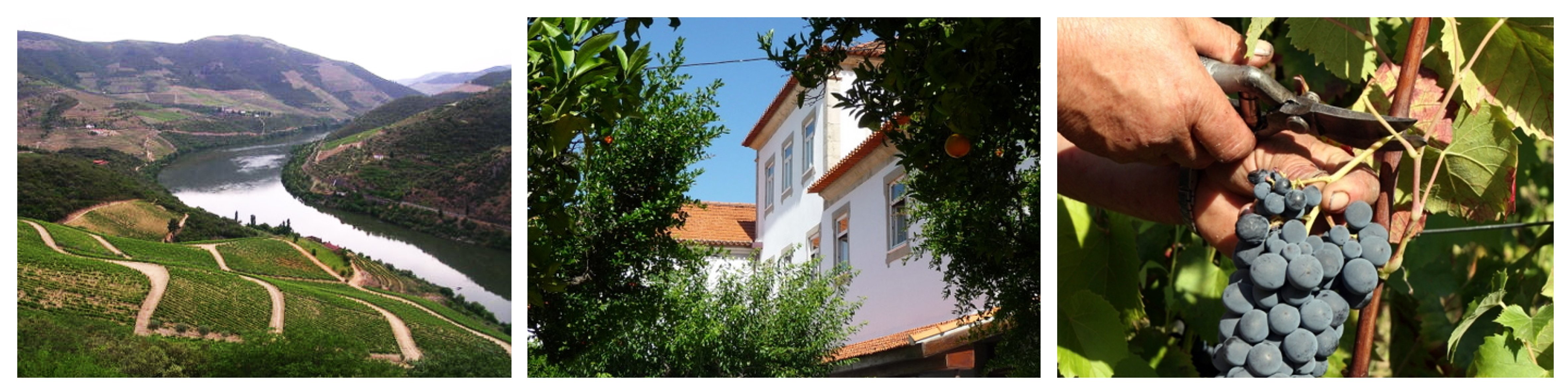 WK_quinta_da_tourais