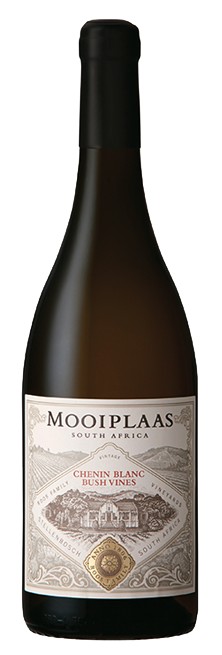 15 Chenin Blanc bush vine WO Mooiplaas Estate