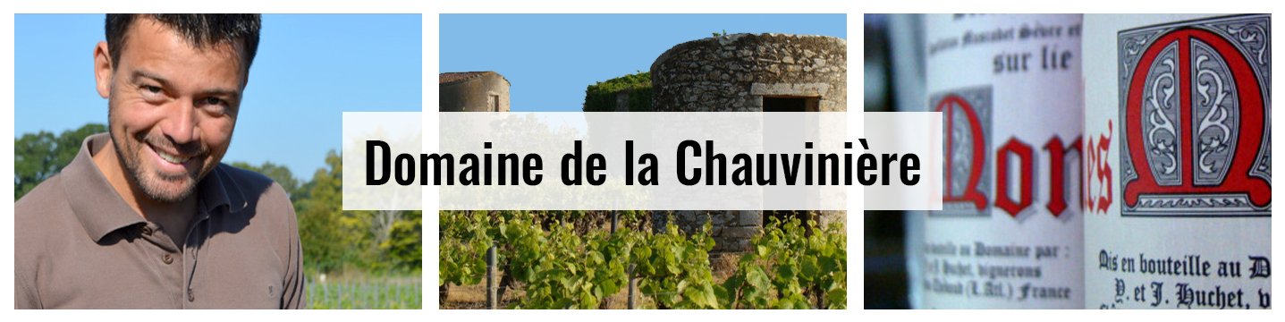 Domaine_de_la_Chauviniere_Weinwelten_Banner